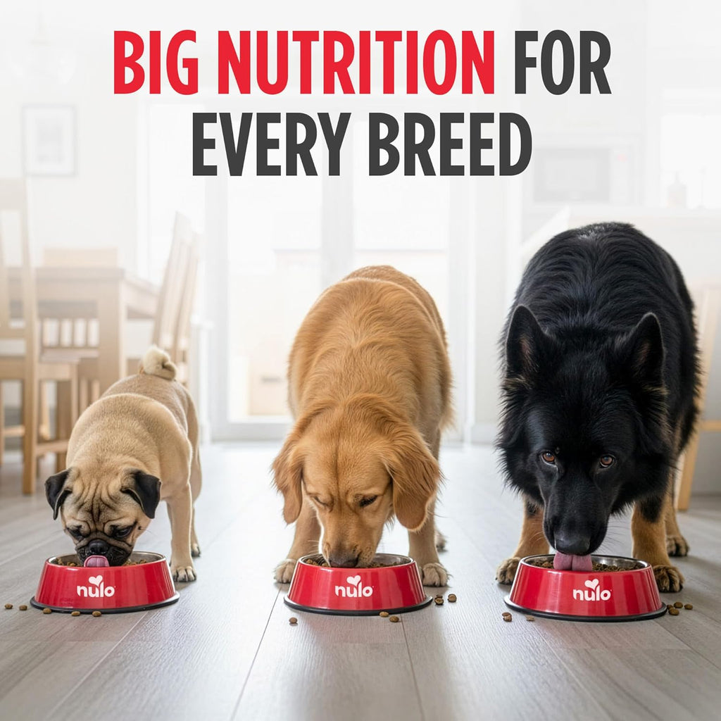 Adult Dog Food: Grain Free, All Natural Dry Pet Kibble for Large and Small Breed Dogs - Lamb, Salmon, or Turkey Recipe