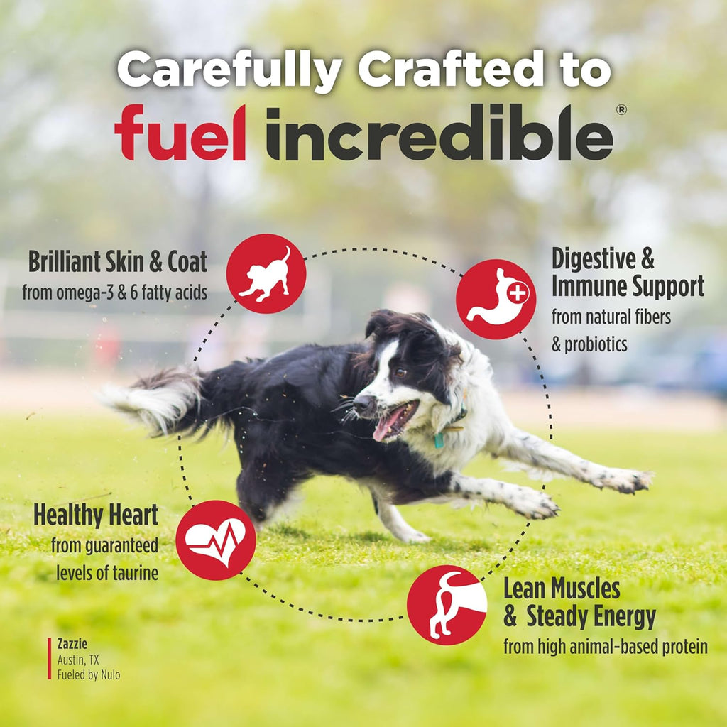 Adult Dog Food: Grain Free, All Natural Dry Pet Kibble for Large and Small Breed Dogs - Lamb, Salmon, or Turkey Recipe