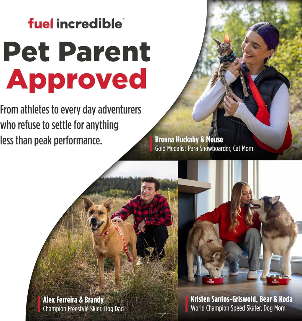 Adult Dog Food: Grain Free, All Natural Dry Pet Kibble for Large and Small Breed Dogs - Lamb, Salmon, or Turkey Recipe